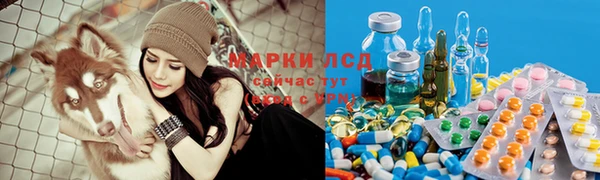мяу мяу мука Арсеньев