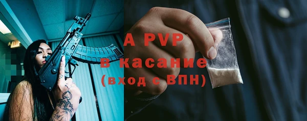 мяу мяу мука Арсеньев