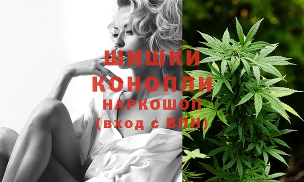 гидра Армянск