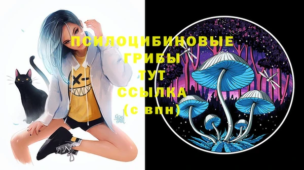 мяу мяу мука Арсеньев