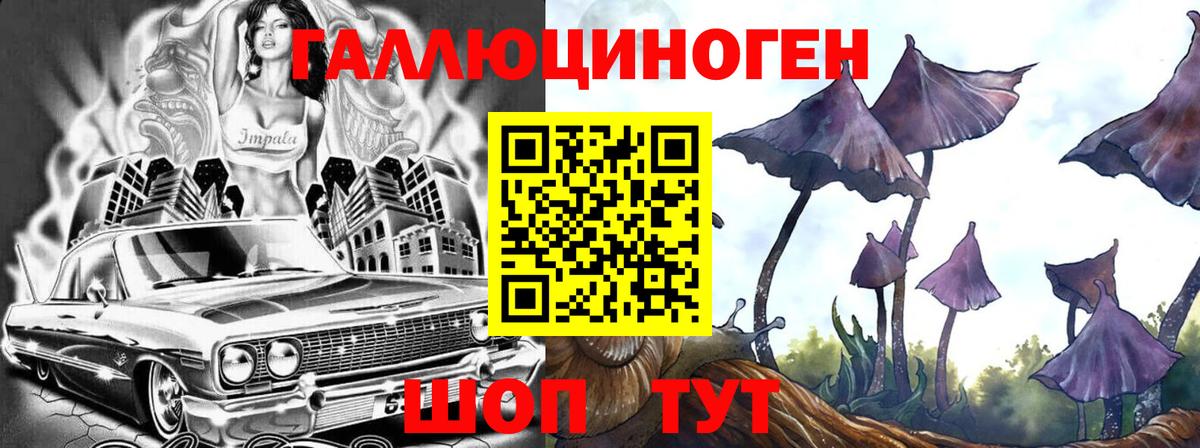 Псилоцибиновые грибы мицелий  Вход с VPN  Ейск  Псилоцибиновые грибы Psilocybe 