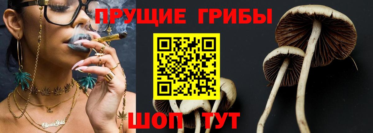 Псилоцибиновые грибы мицелий Ейск