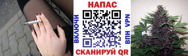 Конопля ГИДРОПОН  мега ссылка  Ейск 